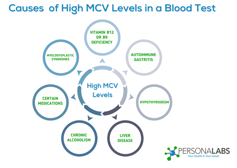Causes of high MCV levels include B12 deficiency, liver disease, and alcoholism.